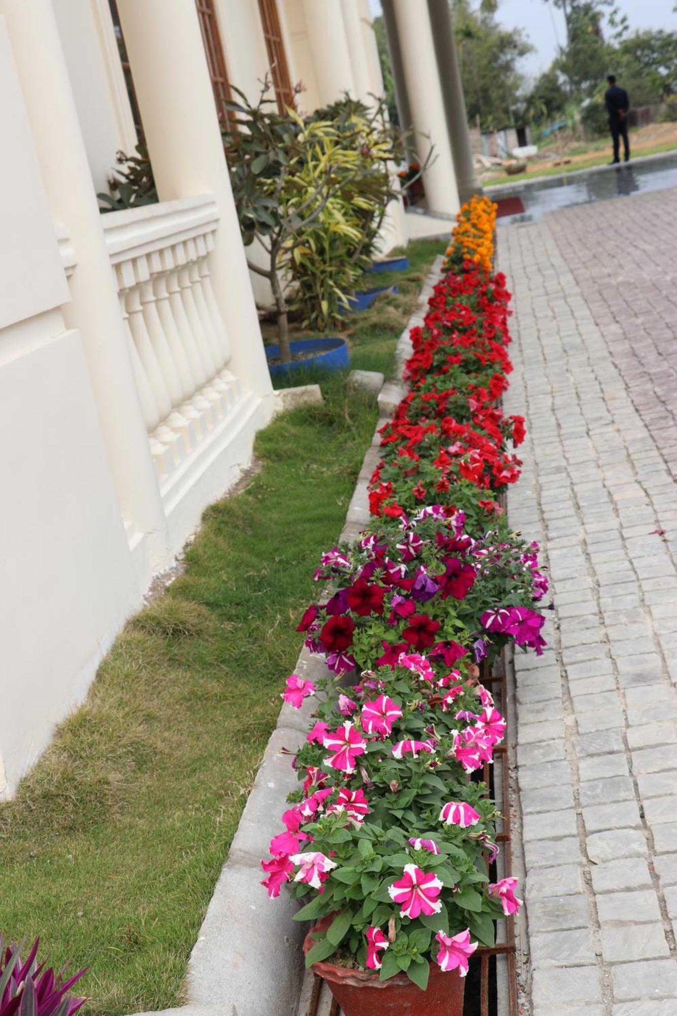 Royale De' Casa Resort Kaziranga Kāziranga Exterior foto