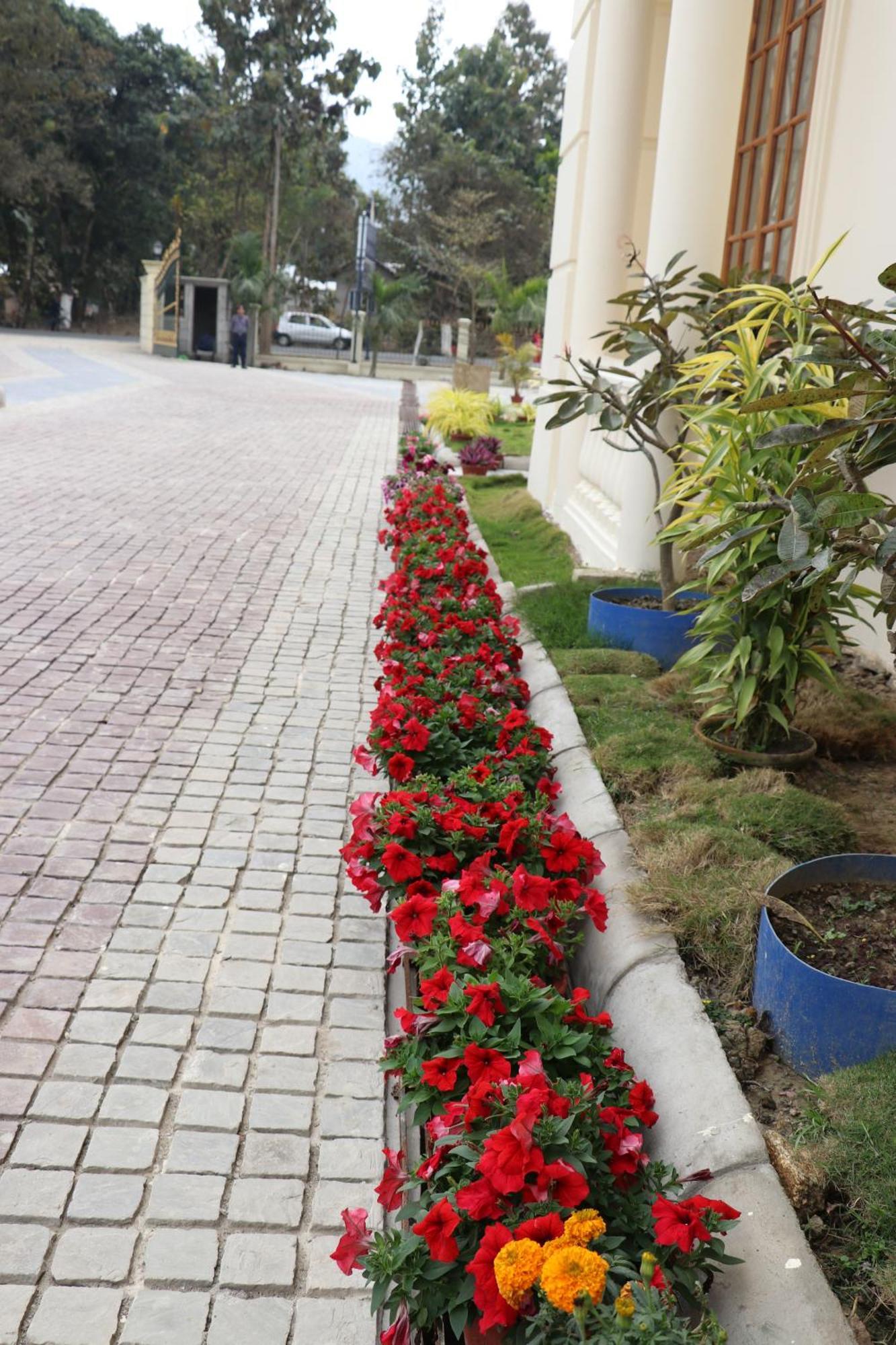 Royale De' Casa Resort Kaziranga Kāziranga Exterior foto